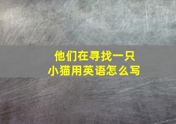 他们在寻找一只小猫用英语怎么写