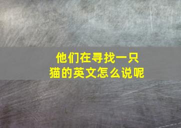 他们在寻找一只猫的英文怎么说呢