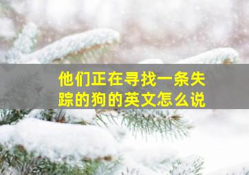 他们正在寻找一条失踪的狗的英文怎么说