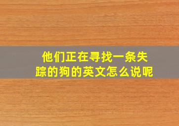 他们正在寻找一条失踪的狗的英文怎么说呢