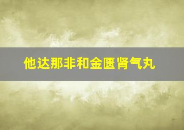 他达那非和金匮肾气丸