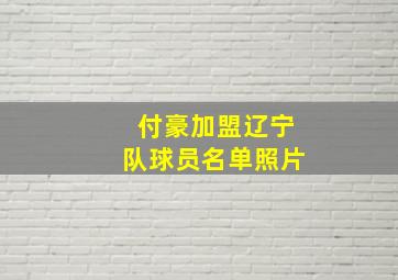 付豪加盟辽宁队球员名单照片