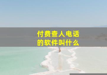 付费查人电话的软件叫什么