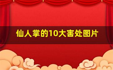 仙人掌的10大害处图片