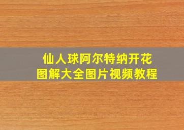 仙人球阿尔特纳开花图解大全图片视频教程