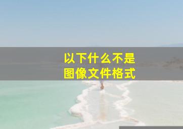 以下什么不是图像文件格式