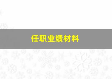 任职业绩材料