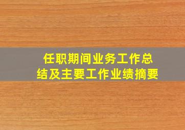 任职期间业务工作总结及主要工作业绩摘要