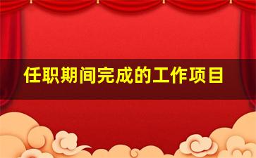 任职期间完成的工作项目