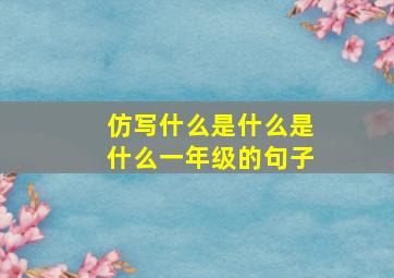 仿写什么是什么是什么一年级的句子