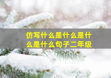 仿写什么是什么是什么是什么句子二年级