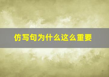 仿写句为什么这么重要