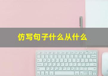 仿写句子什么从什么