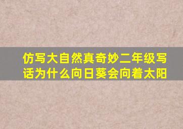 仿写大自然真奇妙二年级写话为什么向日葵会向着太阳