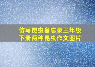 仿写昆虫备忘录三年级下册两种昆虫作文图片