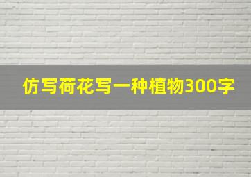 仿写荷花写一种植物300字