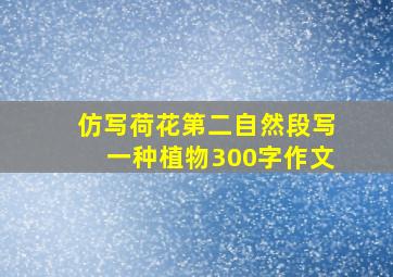 仿写荷花第二自然段写一种植物300字作文