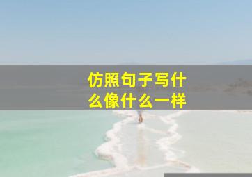 仿照句子写什么像什么一样