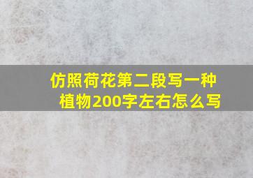 仿照荷花第二段写一种植物200字左右怎么写