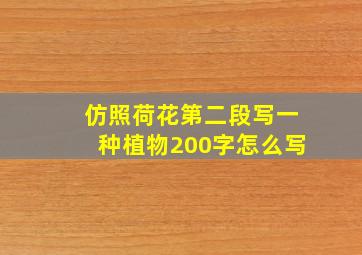 仿照荷花第二段写一种植物200字怎么写