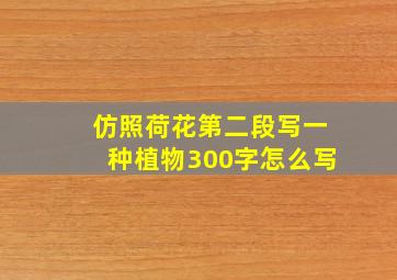 仿照荷花第二段写一种植物300字怎么写