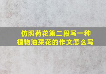 仿照荷花第二段写一种植物油菜花的作文怎么写