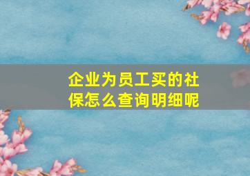 企业为员工买的社保怎么查询明细呢