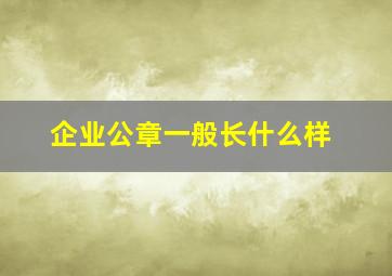 企业公章一般长什么样