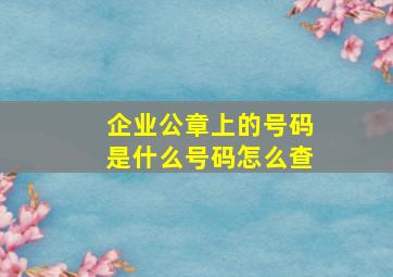 企业公章上的号码是什么号码怎么查