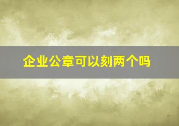 企业公章可以刻两个吗