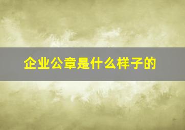 企业公章是什么样子的