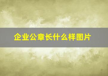 企业公章长什么样图片