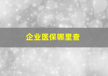 企业医保哪里查