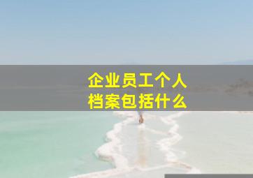 企业员工个人档案包括什么