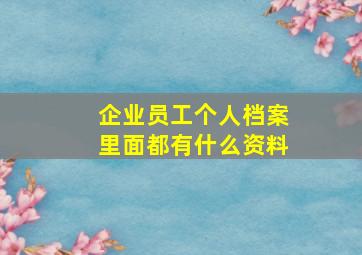 企业员工个人档案里面都有什么资料