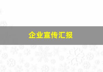 企业宣传汇报