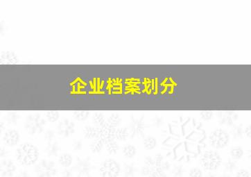 企业档案划分