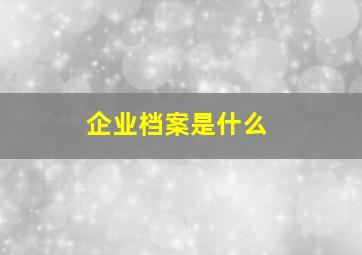 企业档案是什么