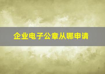 企业电子公章从哪申请