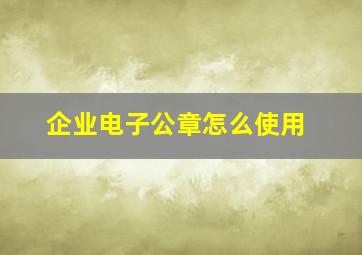 企业电子公章怎么使用