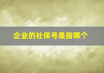 企业的社保号是指哪个