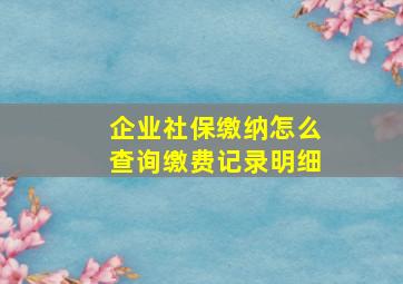 企业社保缴纳怎么查询缴费记录明细