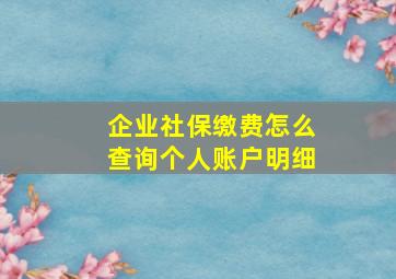 企业社保缴费怎么查询个人账户明细