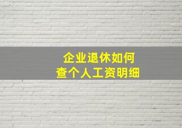 企业退休如何查个人工资明细