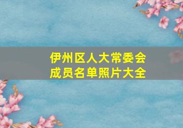 伊州区人大常委会成员名单照片大全