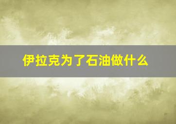 伊拉克为了石油做什么