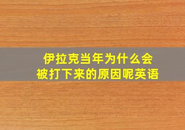 伊拉克当年为什么会被打下来的原因呢英语