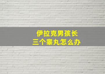 伊拉克男孩长三个睾丸怎么办