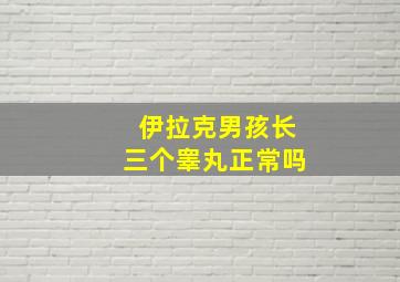 伊拉克男孩长三个睾丸正常吗