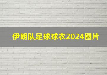 伊朗队足球球衣2024图片